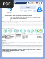 Ficha Práctica Seman 1 - 4to Biología