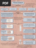 Concept Map of Bone Formation, Growth, and Remodelling