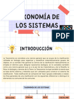 Mapa Conceptual Taxonomia de Los Sistemas