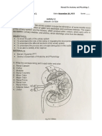 Urinary System