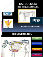 Osteologia de Esqueleto Axil