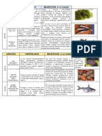 Especies Propiedades Beneficios A La Salud