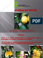 Aula 05 Fruto 1