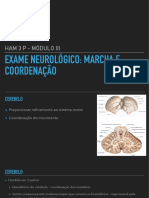 Exame Neurológico: Marcha e Coordenação