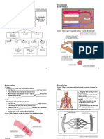 Circulatory System