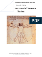 Anatomia - Tui Na