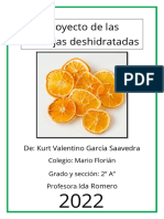 Si Una Naranja Es Deshidratada