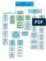 Mapa Conceptual Inmunidad