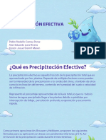 Precipitación Efectiva 