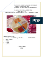 Informe Medios de Cultivo