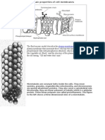 Phospholipids (Fats With Phosphorous Attached), Which at Body Temperature Are