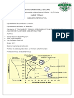 Practica 5 Envejecido