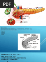 PANCREATITIS