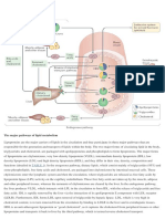 Figure - PMC