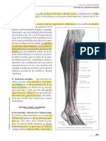 Anatomía Humana. Tomo 3. Miembros, 11va Edición - Henri Rouvière-LIBROSVIRTUAL - COM-485-493