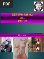 Clase 9 Determinismo Del Parto