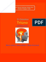 LIVRO - Cérebro Triuno. Uma Nova Visão. Mente Límbica - Mente Plástica - Mente Emocional