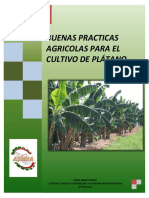 Buenas Practicas Agricolas para El Culti