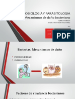 Clase Semana 6. (26-30 Septiembre) - Mecanismos de Daño Bacteriano