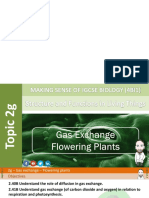 2g Gas Exchange-Flowering Plants