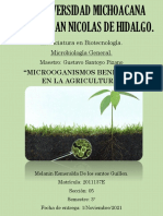 ENSAYO 2 - MICROORGANISMOS BENÉFICOS EN LA AGRICULTURA - Melanin Esmeralda de Los Santos Guillen - S5