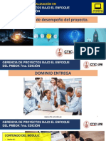 07-PPT Dominio Entrega