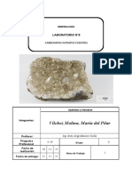 Mineralogia Lab8