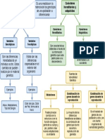 Mapa Conceptual Variabilidad Genética