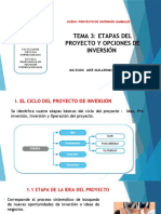 Tema 3 .Etapas de Un Proyecto y Opciones de Inversión