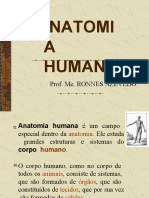 Anatomia Aula 1