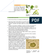 Clorofita - Caracteristicas-Ciclo de Vida