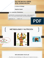 Metabolismo y Nutrición