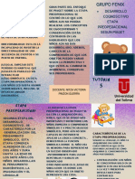 Folleto de Desarrollo