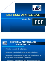 Sistema Articular