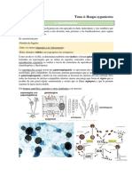 Tema 04. Hongos Zygomycota