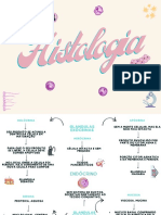 Histologia - Sistema Imune