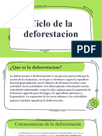 Ciclo de La Deforestación