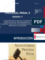 Sesión 11 - Derecho Procesal Penal II OK