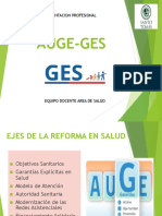 Clase 5 Auge - Ges