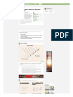 How To Read A Cladogram (And Make Your Own)