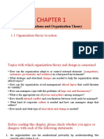 Organization Theory