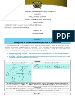 Tarea Biotransformacion