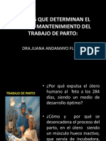 4 Sem - Teorias Del Inicio y Mantenimiento Del Parto PDF