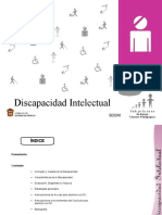 Discapacidad Intelectual