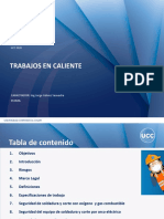 02 PDF Trabajos en Caliente 2020