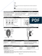 Sensory Receptors 2021