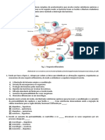 Sistema Imunitario