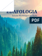 Informe Sobre El Estudio Morfologico Del Suelo