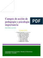 Grupo1 - Campos de Acción de Pedagogía y Psicología e Importancia Resumen-1