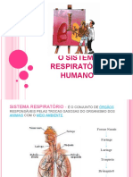 Sistema Respiratório Salvo